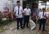 Para siswa kelas VII SMP Negeri 4 Bahodopi mengumpulkan sampah plastik bekas wadah minuman kemasan di lingkungan sekolahnya. FOTO: IST